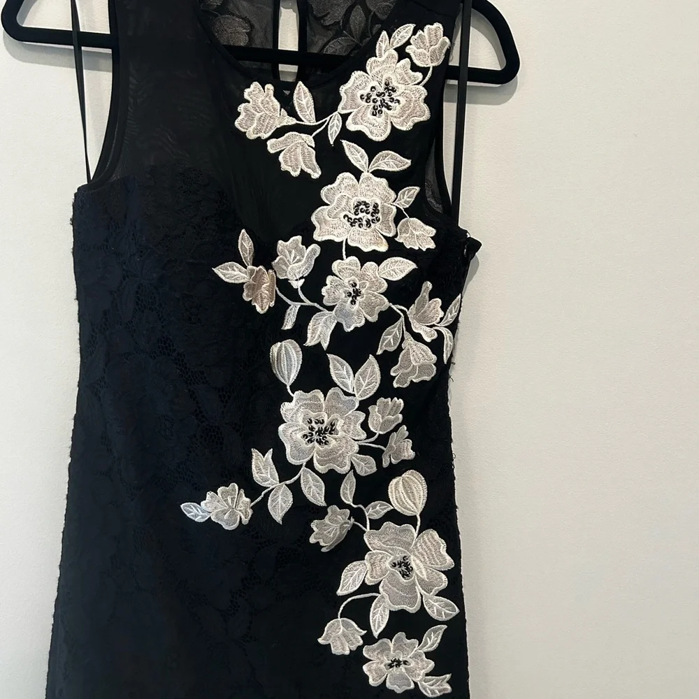 Betsy & Adam Gown - Lace-Mesh-Floral Lined Gown. Black/White Size 12 - Picture 3 of 8